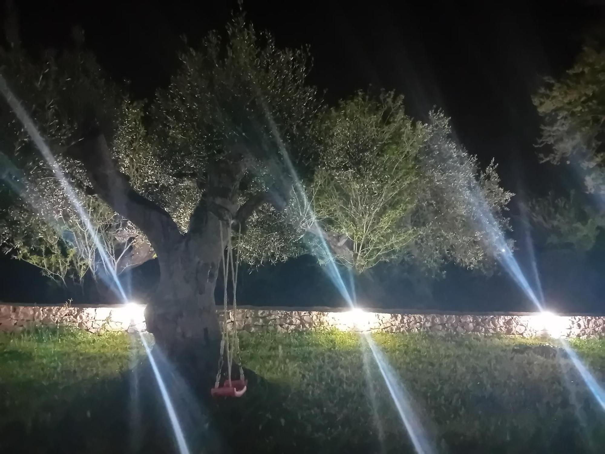 Villa Il Leccio - Trulli Cisternino Kültér fotó