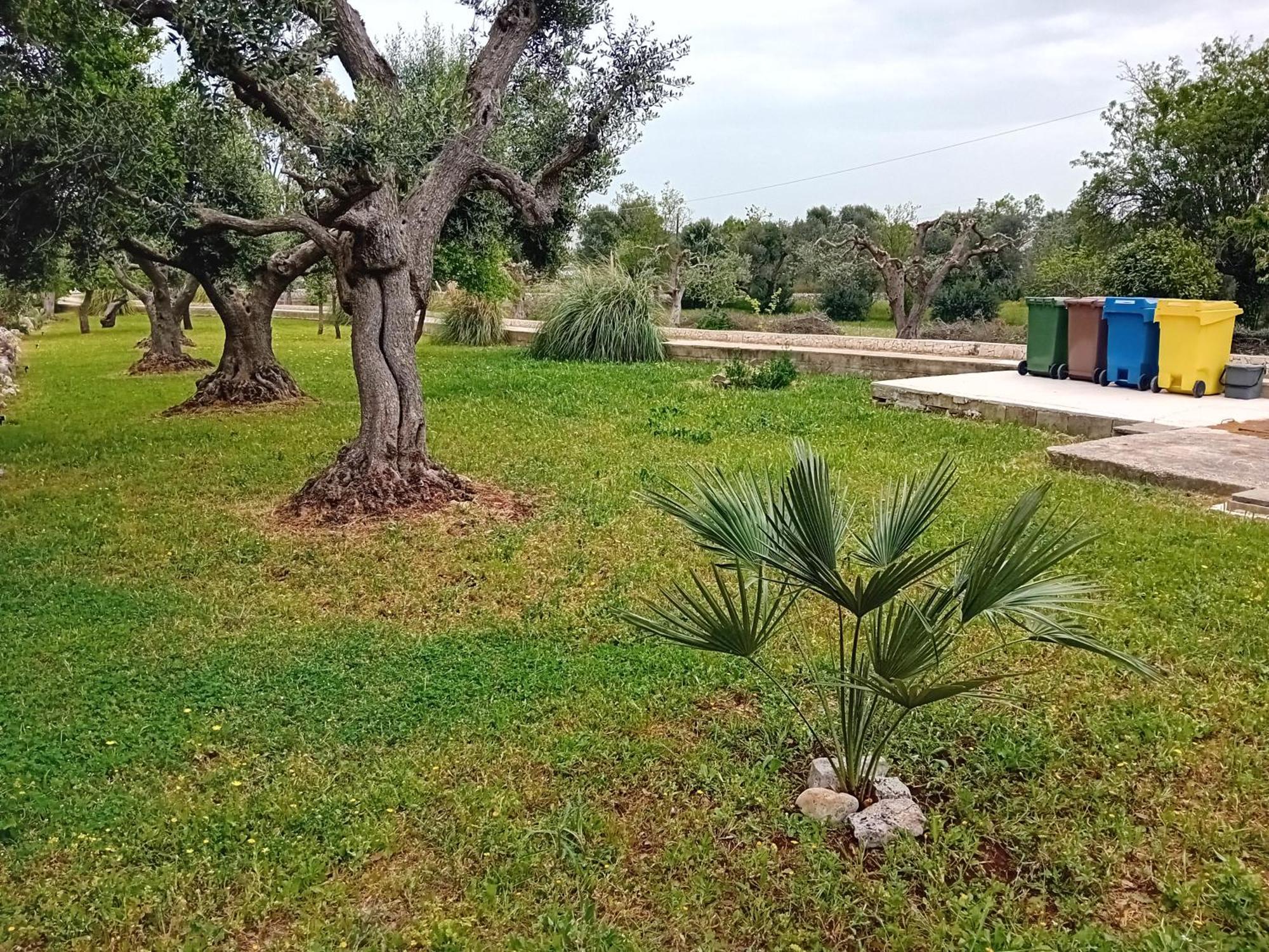 Villa Il Leccio - Trulli Cisternino Kültér fotó