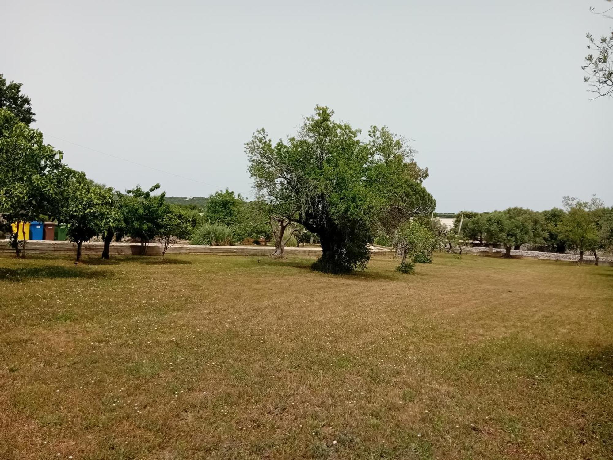 Villa Il Leccio - Trulli Cisternino Kültér fotó