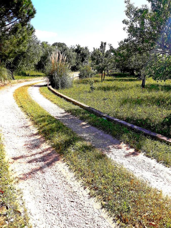 Villa Il Leccio - Trulli Cisternino Kültér fotó